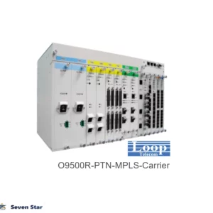 PTN - 10GE MPLS Multiservice SDH SONET - O9500R